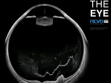 Detailed black and white scan of an eye with labeled title and logo.