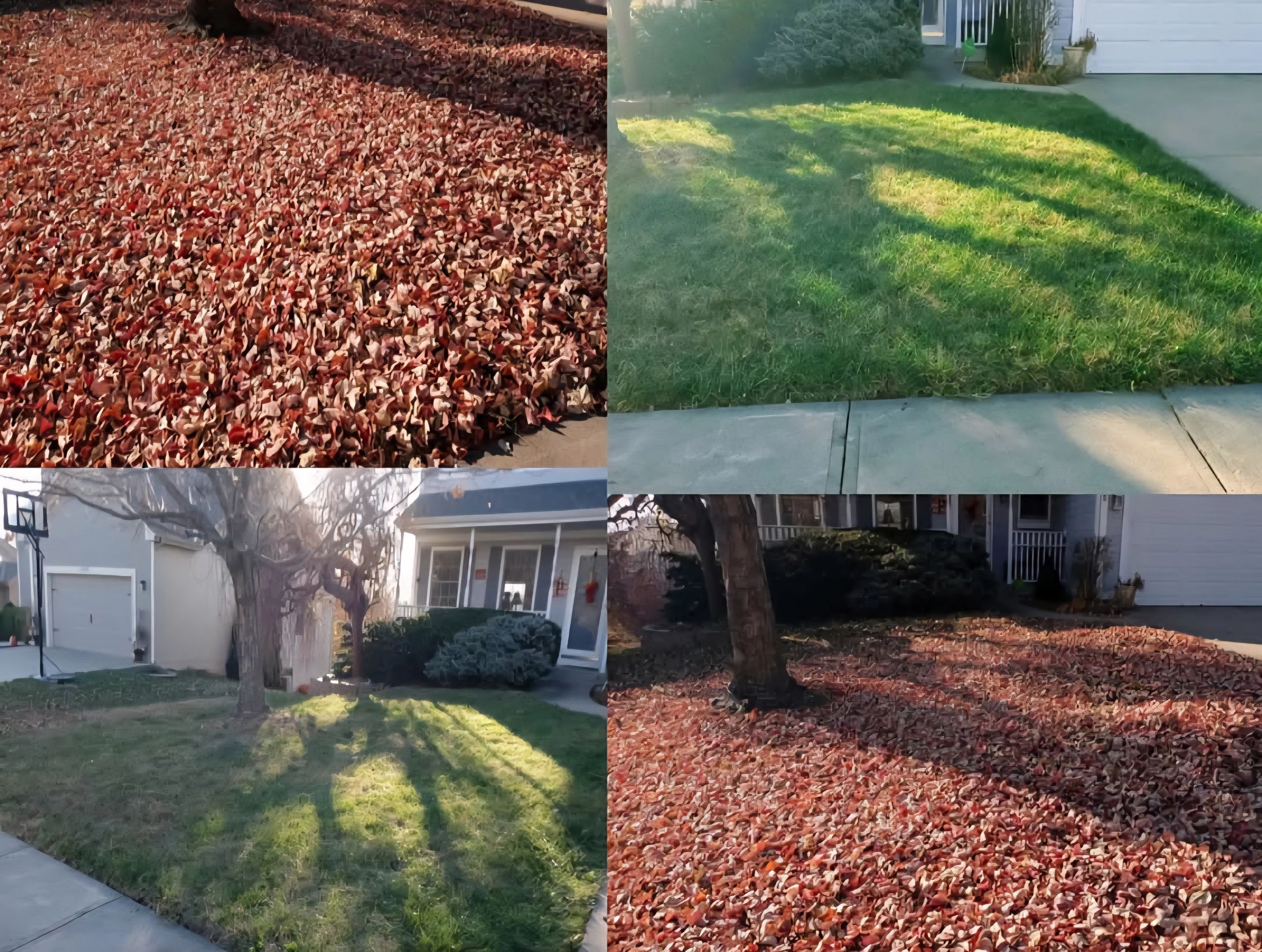 Kansas City Leaf Pickup