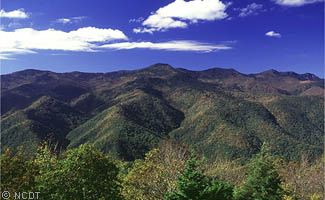 Mt._Mitchell__NC.jpg