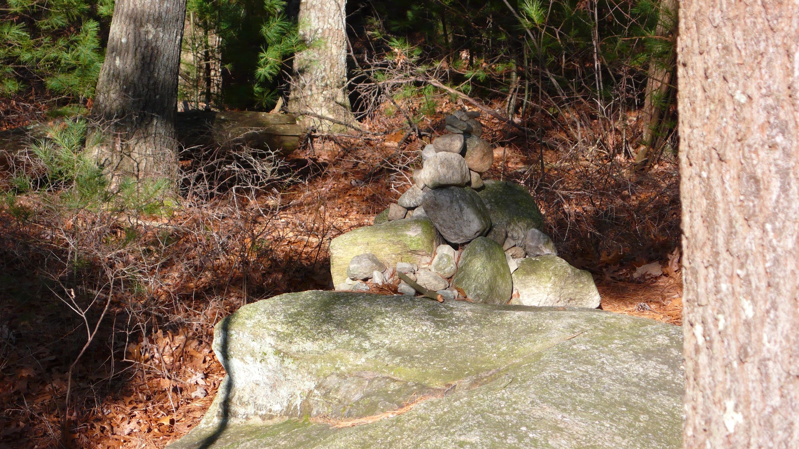 P1000151.JPG