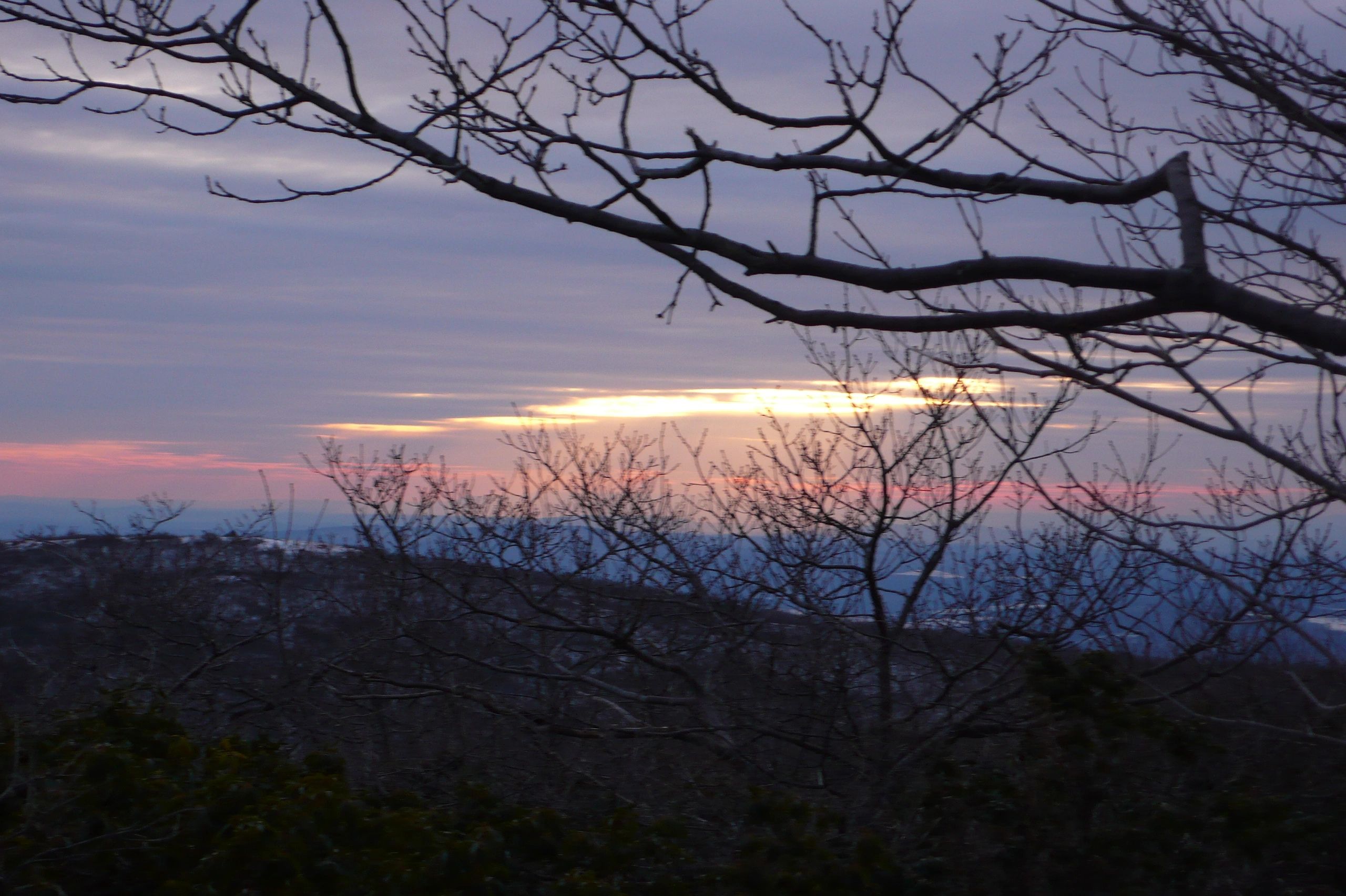P1000304.JPG