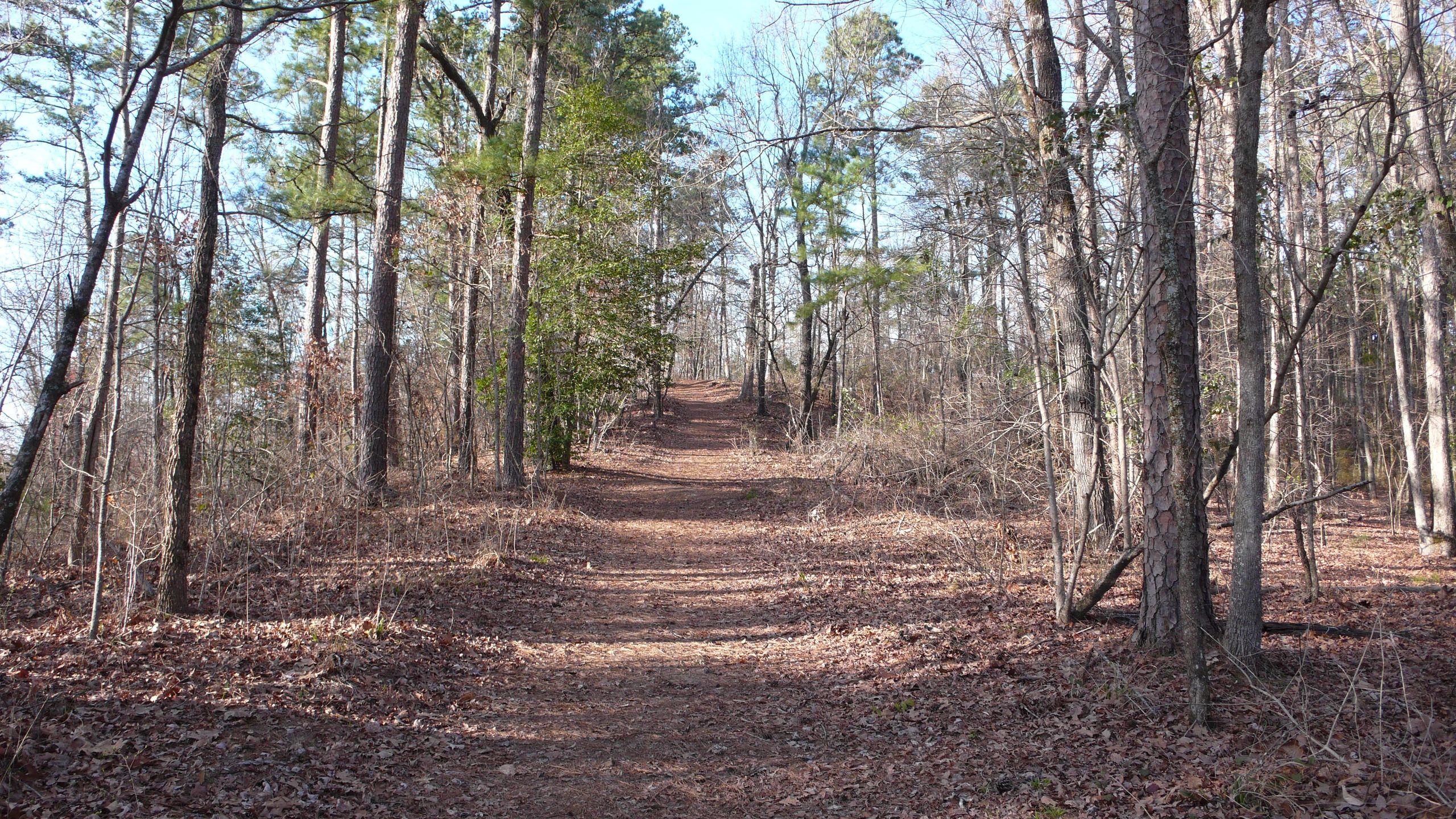 P1050585.JPG