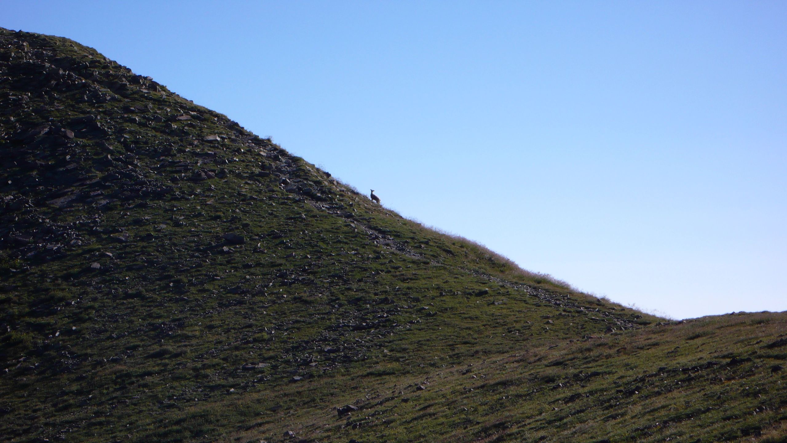 Wheeler_Climb_027.jpg