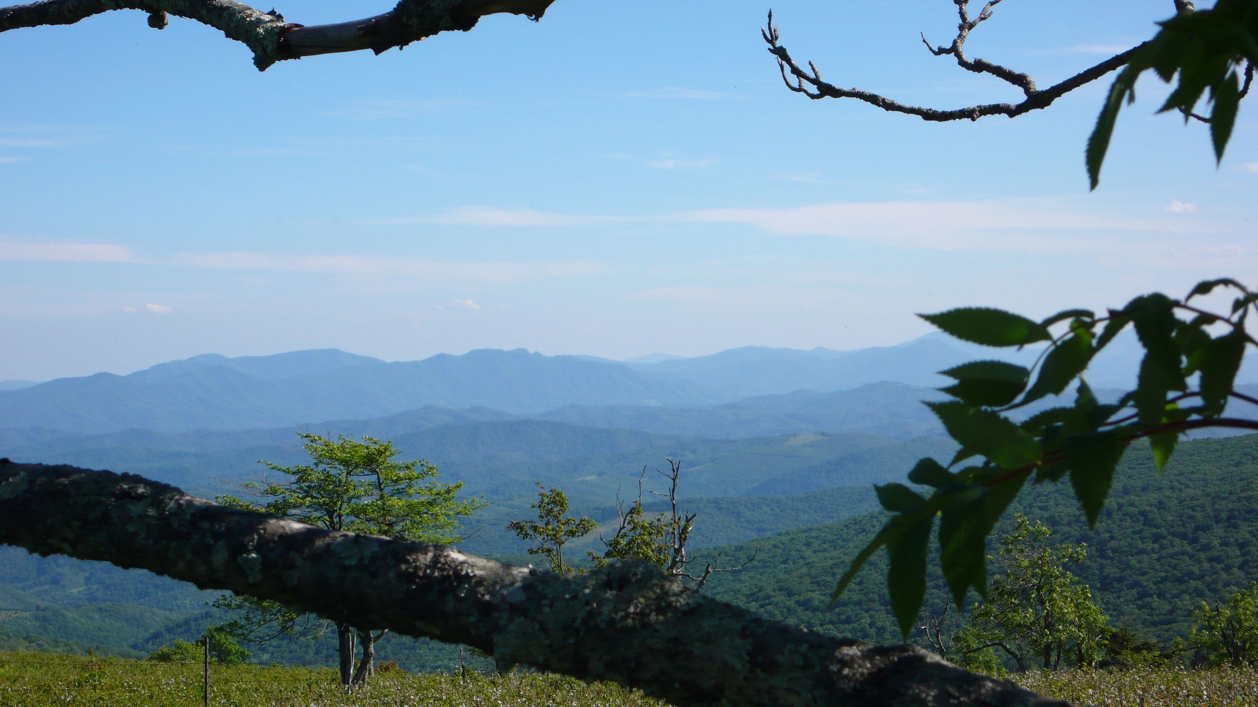 awesome_view.jpg