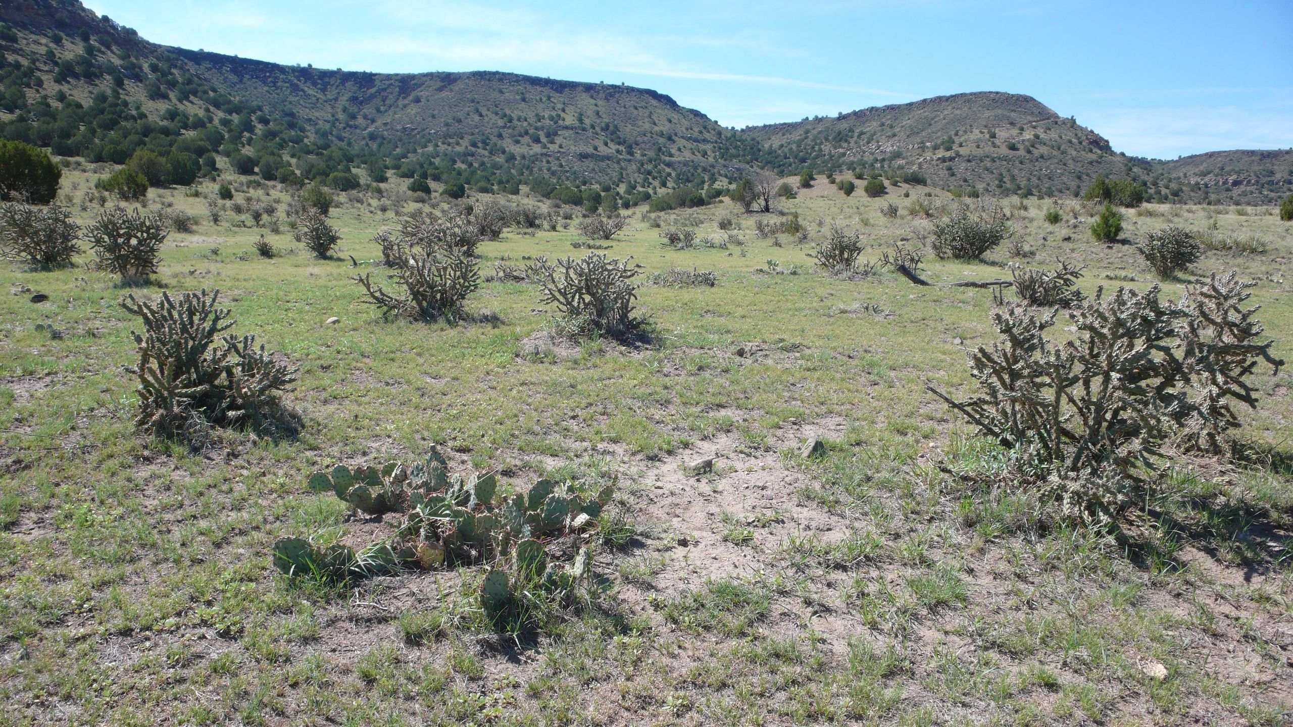 landscape.jpg