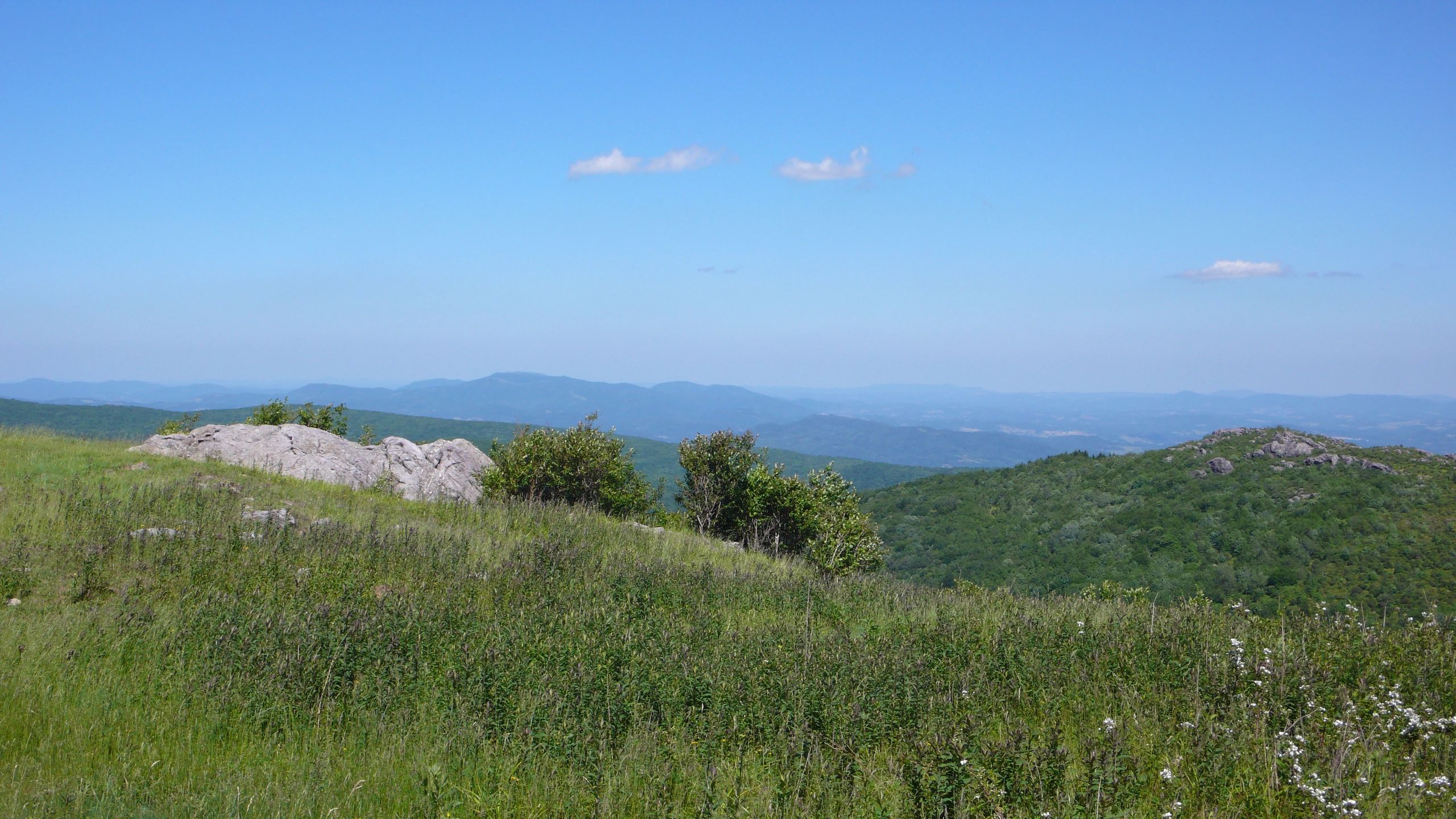 view.jpg
