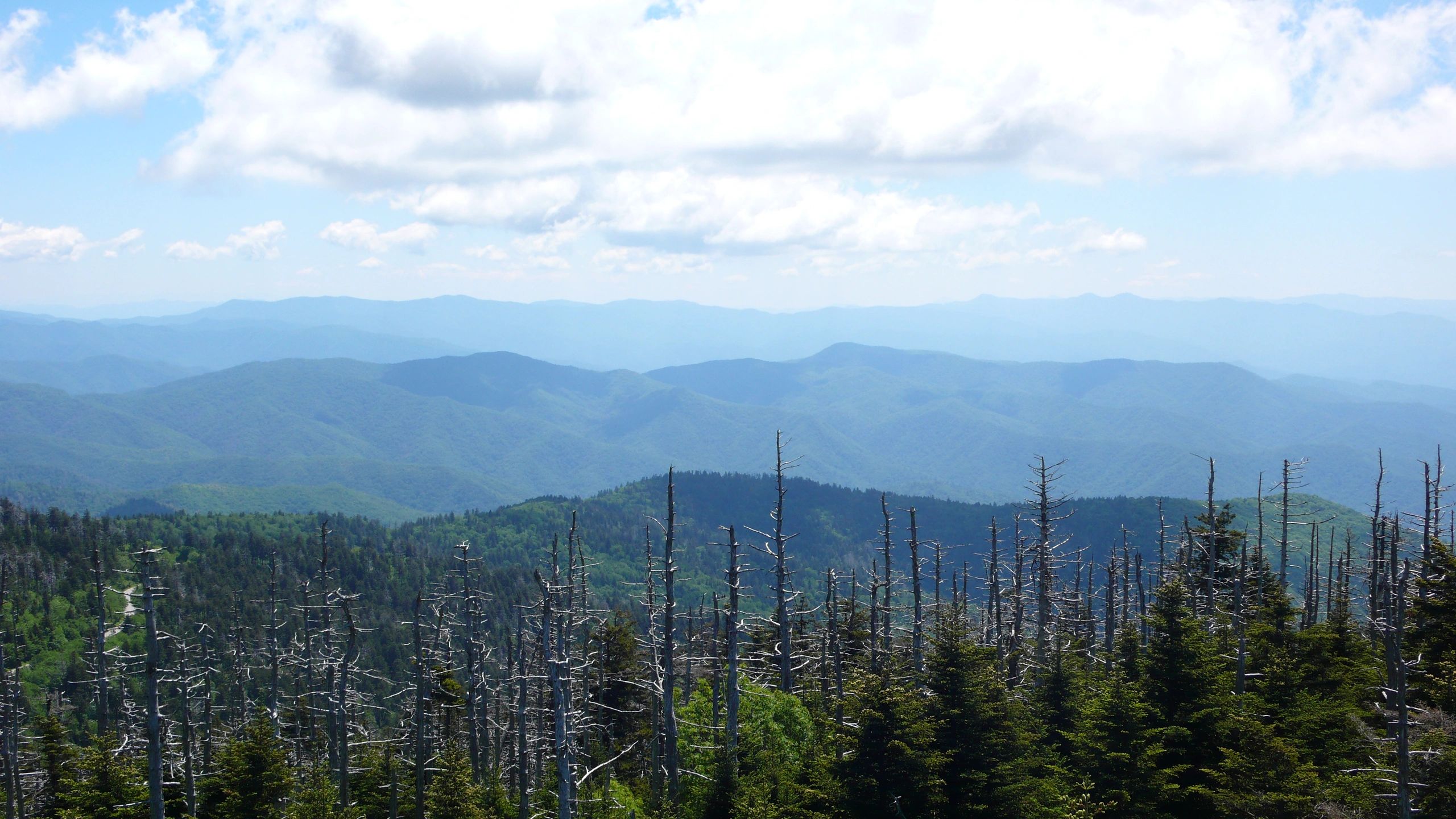 view_from_top.jpg