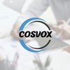 COSVOX