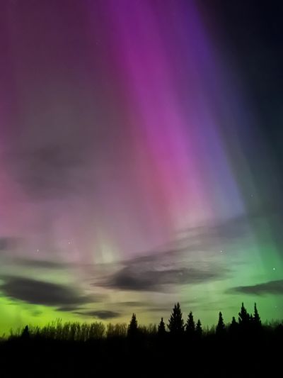 Colorful aurora borealis lights up the night sky above silhouetted trees.