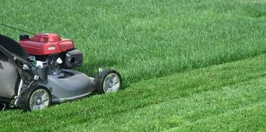 A lawn mower cutting fresh green grass in a garden.
