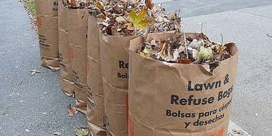 Brown paper lawn and refuse bags filled with dry leaves lined up on a sidewalk.
