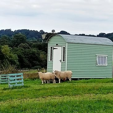 Shepherds hut 2022 pre hot tub