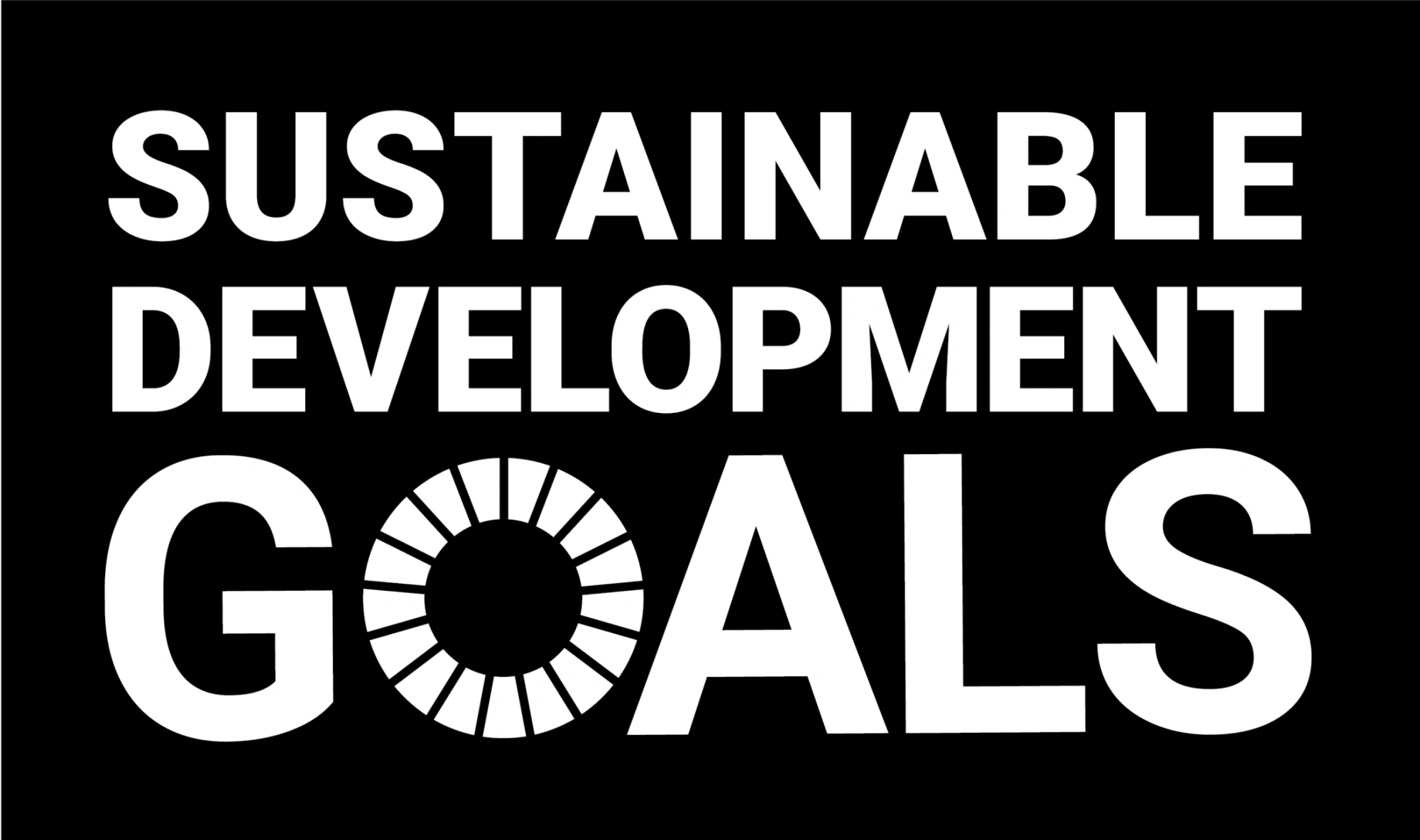 UN SUSTAINABLE DEVELOPMENT GOALS