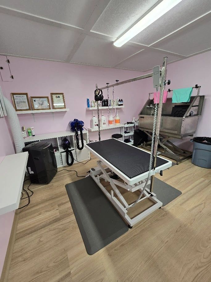 Alex's Pet Parlour dog grooming listing photo