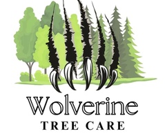 Wolverine Tree Care 
