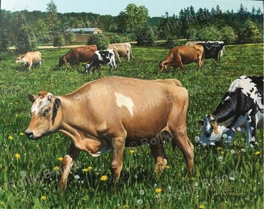 “Girls of Summer” 14" x 11" 2020 
Julian Family Farm, Medford, Wisconsin
