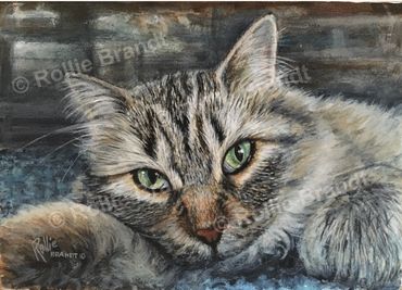 "Hazel" - 5"x7" mini of a cat belonging to our friend Sandy. 