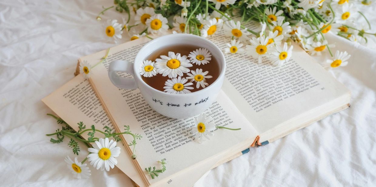A cup of tea with daisies floats on an open book, surrounded by fresh daisies.