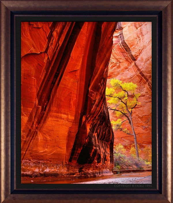 CANYON VOICES