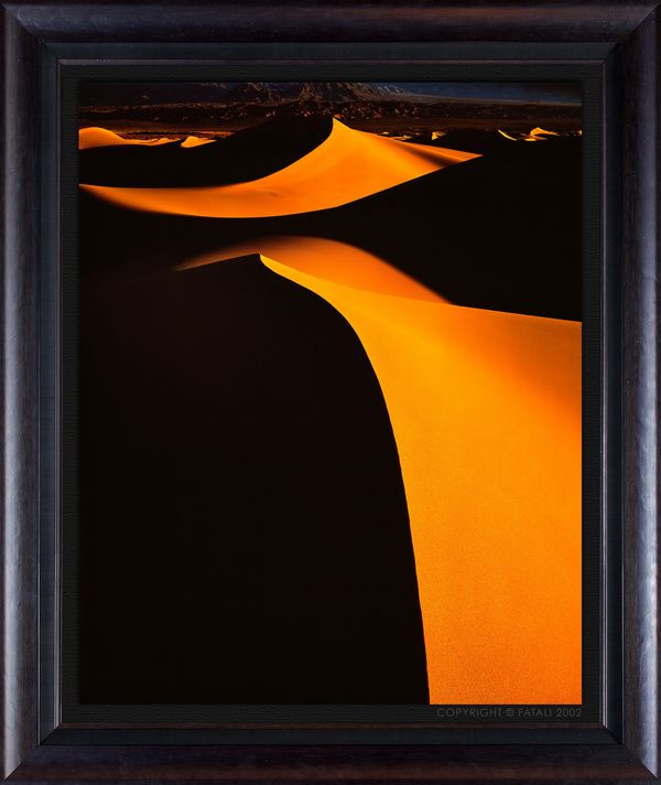 LIVING DUNES