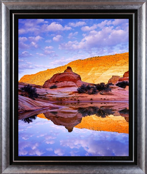 REFLECTIONS