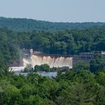 A dam releasing water amidst a lush green forest.