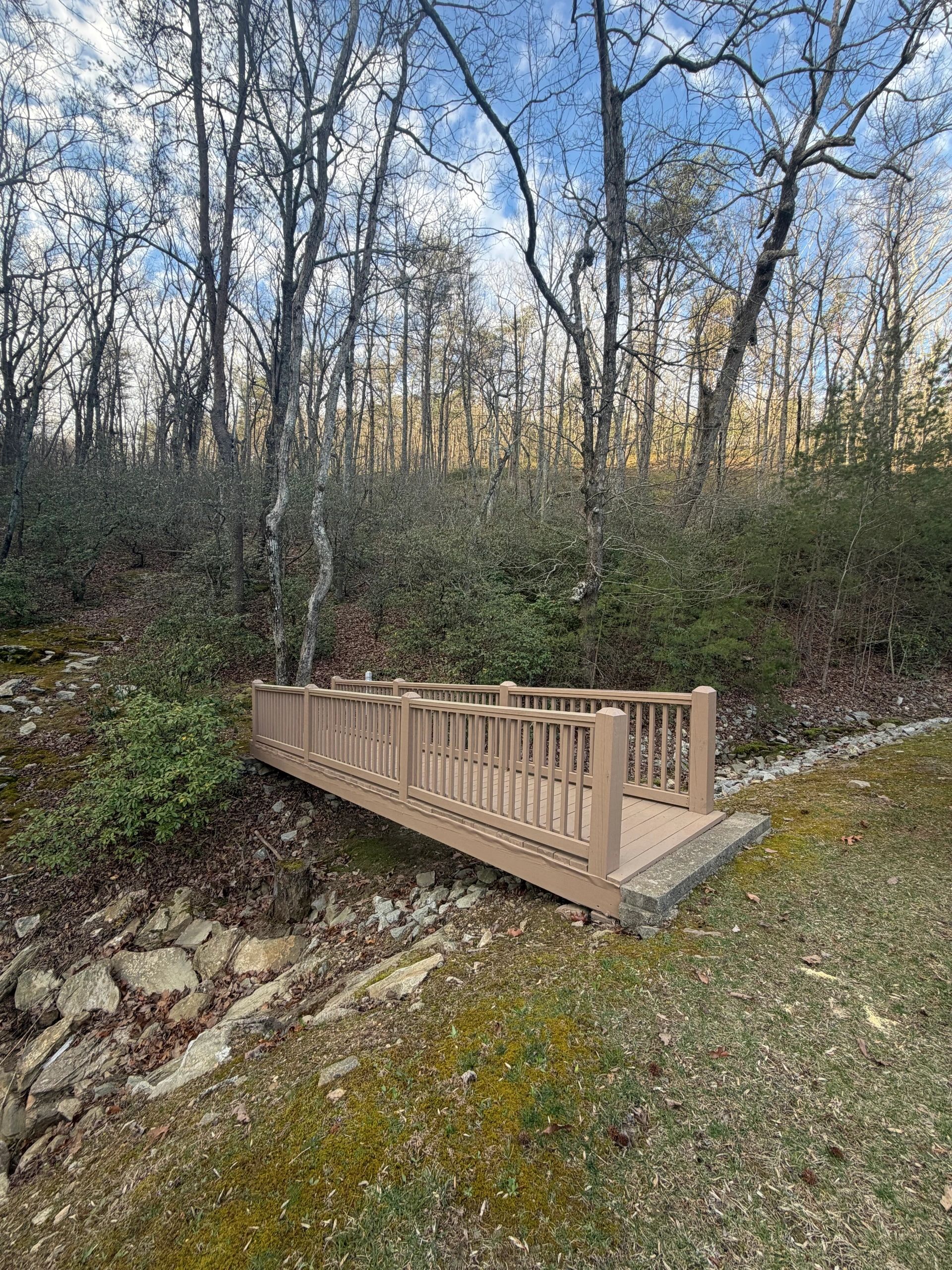 A small wooden bridge in a forest during late autumn.