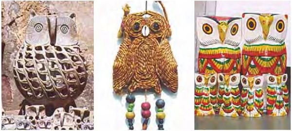 OWL, Nocturnal Birds, Indian Owl species, WWF-India, 