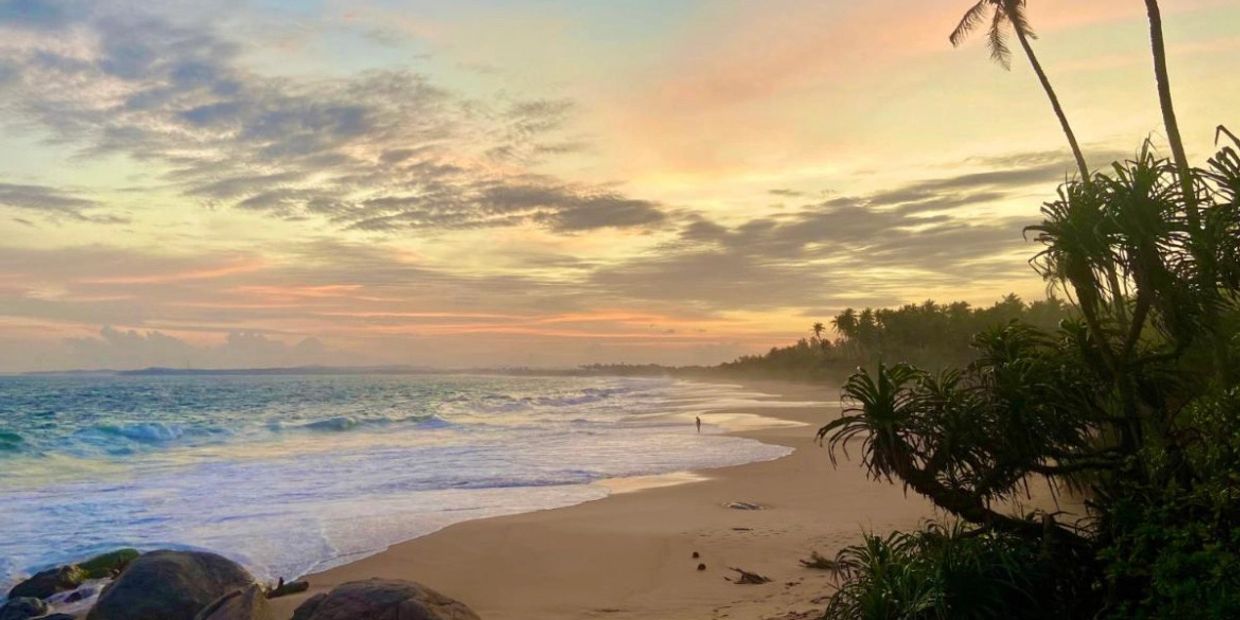 Serene beach at sunset with gentle waves and palm trees.