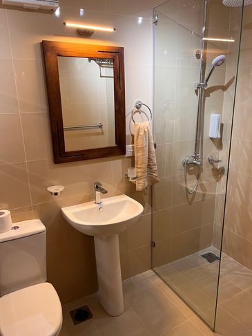 Modern bathroom with glass shower and wooden-framed mirror.