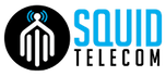 Squid Telecom LLC