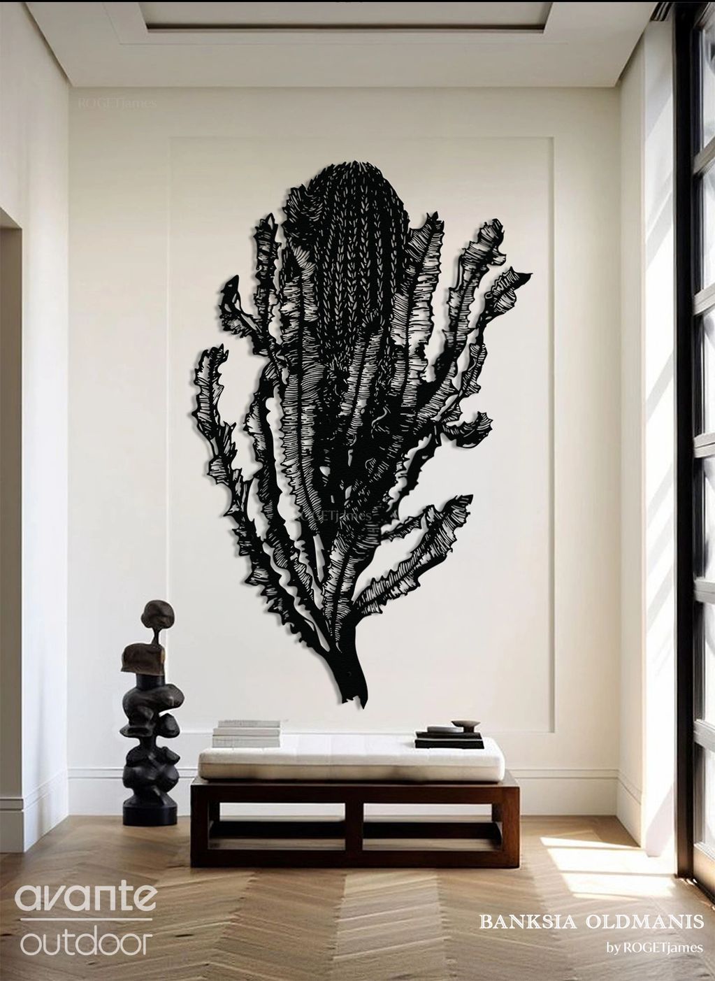 BANKSIA OLDMANIS by ROGETJames