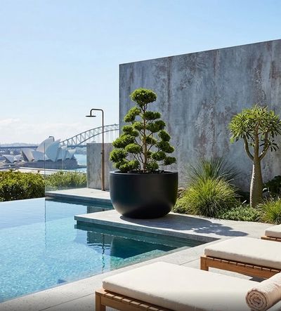 Modern outdoor pool area with stylish plants and Sydney Opera House view.