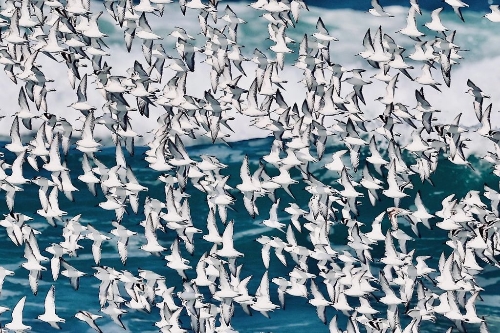 Gallery Salmon Creek Art Walk