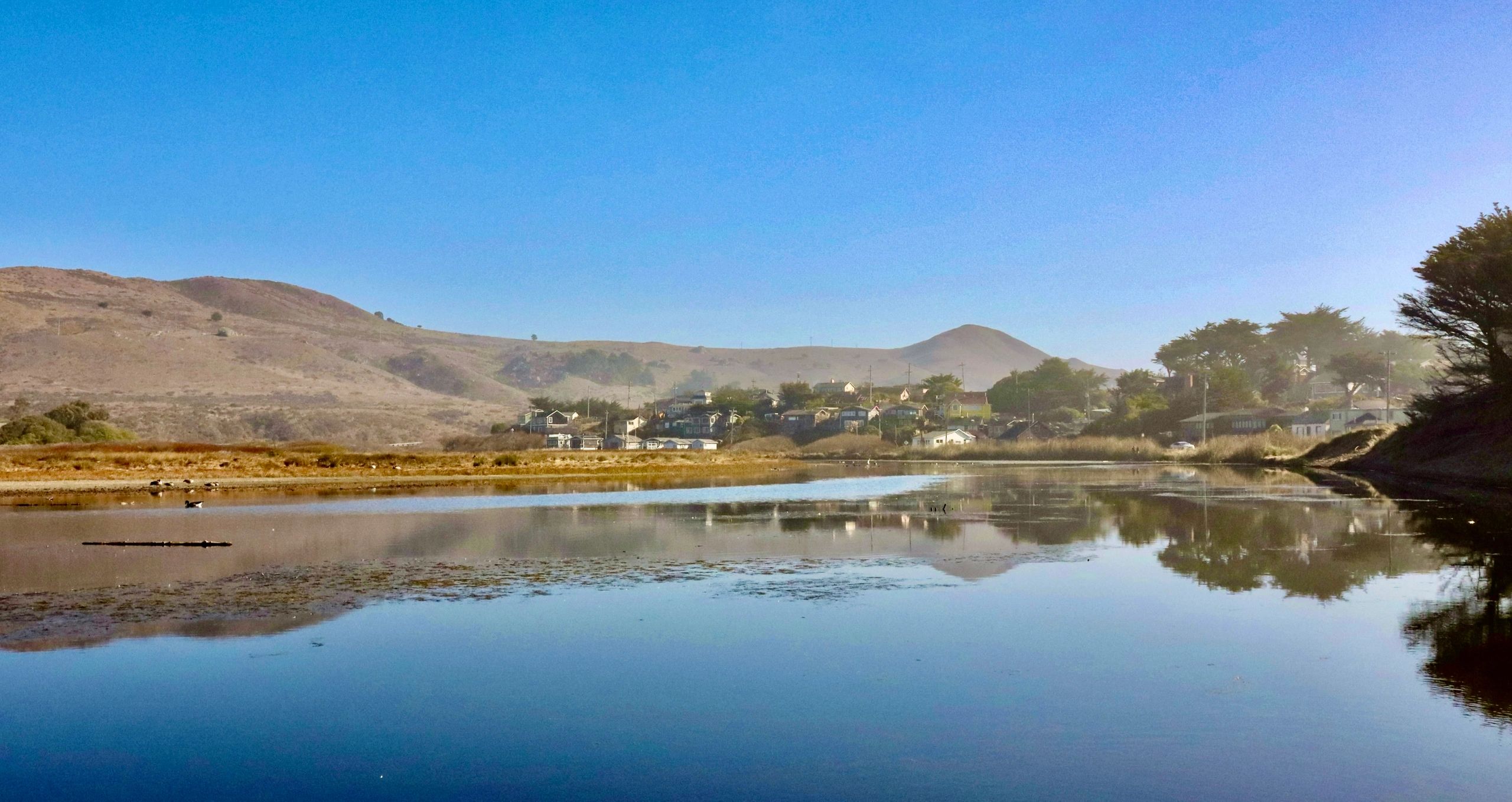 Salmon Creek Art Walk