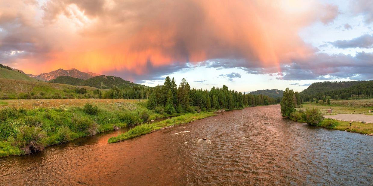 Summer in Yellowstone National Park