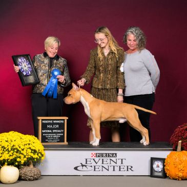 Three women with a dog at a Purina Event Center award ceremony.