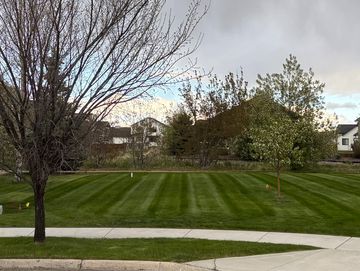 A neatly mowed grassy area with trees and houses in the background under cloudy skies.