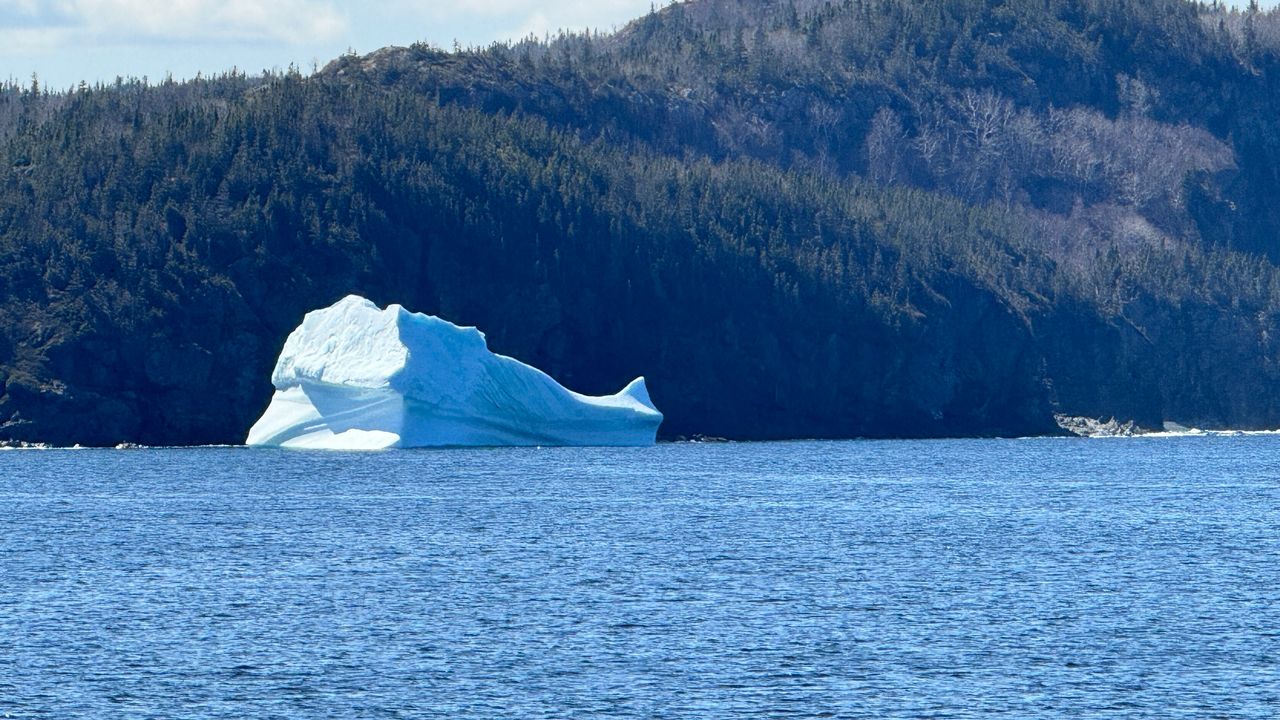 Iceberg #1 Iceberg #1