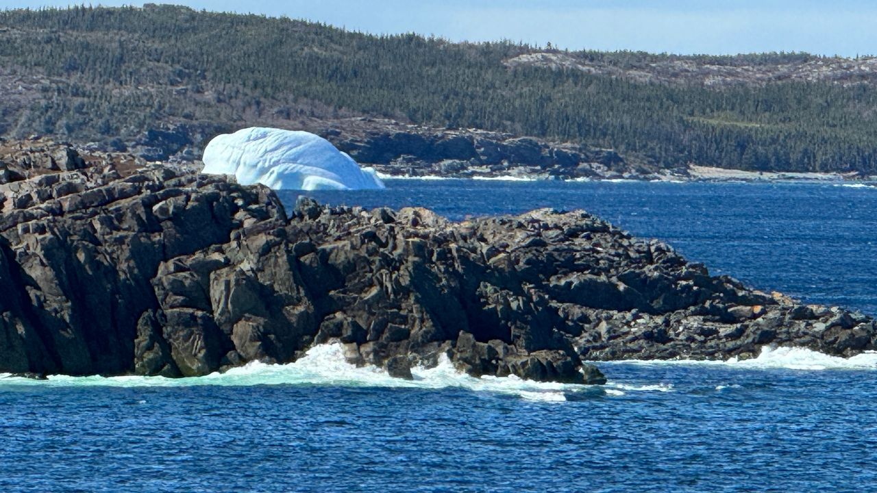 Iceberg #5 Iceberg #5