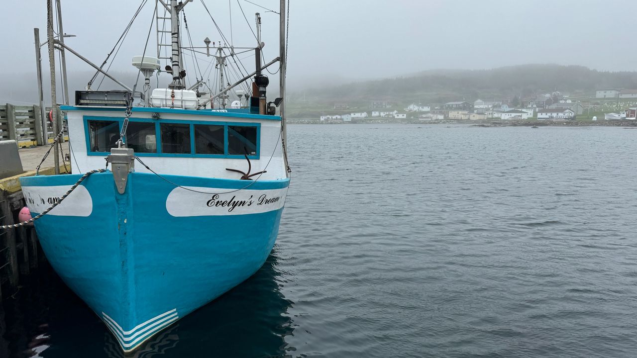 Fishing and Crabbing boats at doc Fishing and Crabbing boats at doc