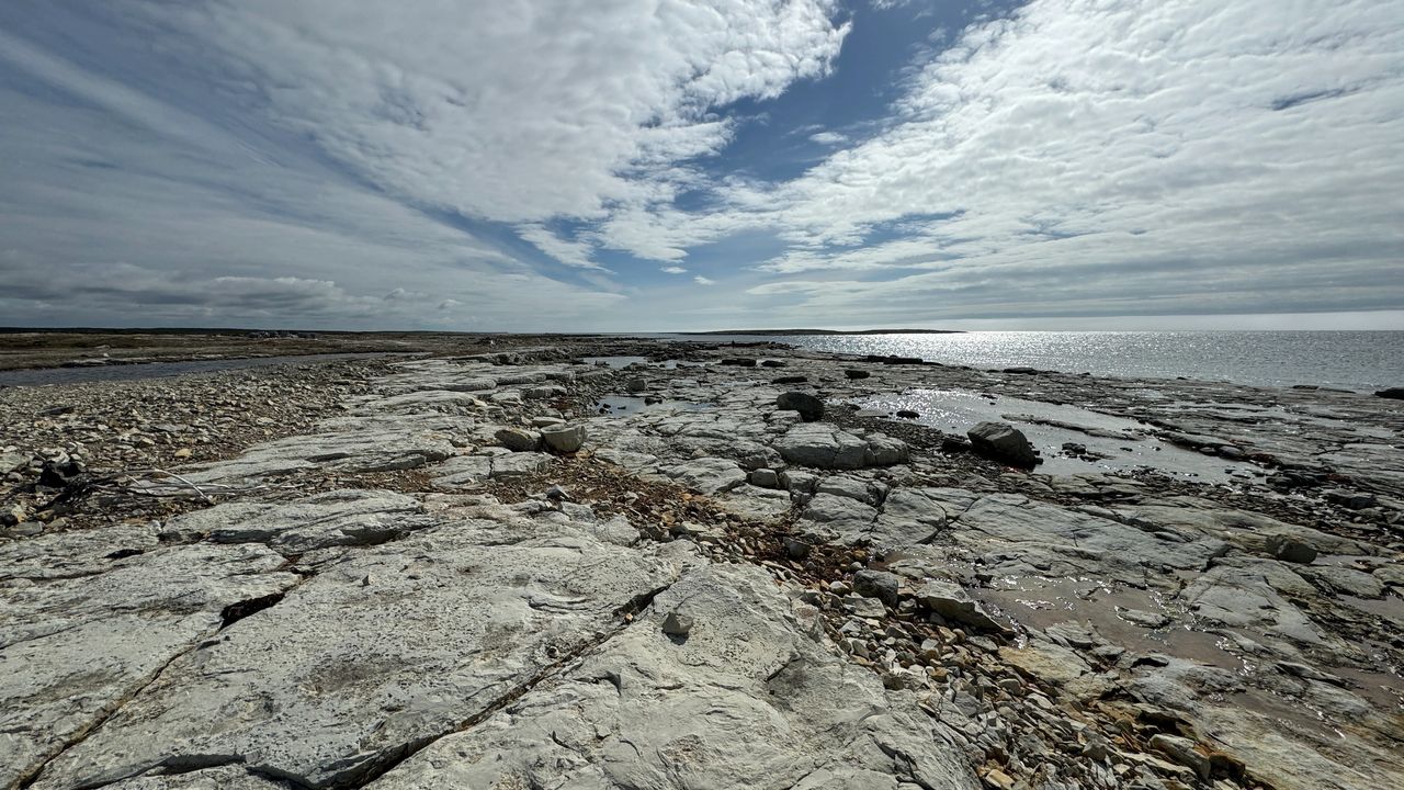 Coast Rock Coast Rock