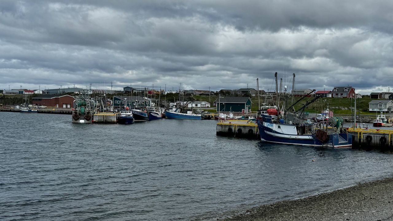 Port aux Choix Harbor Port aux Choix Harbor