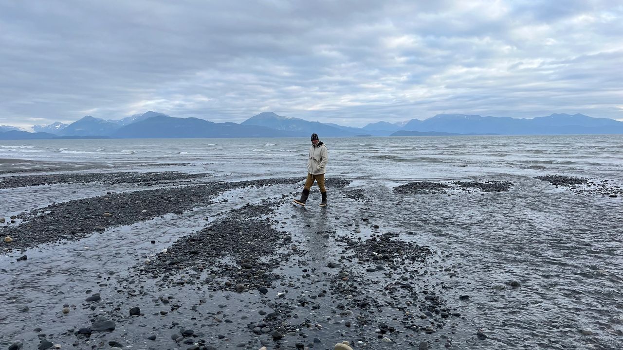 Low Tide wanderer Low Tide wanderer