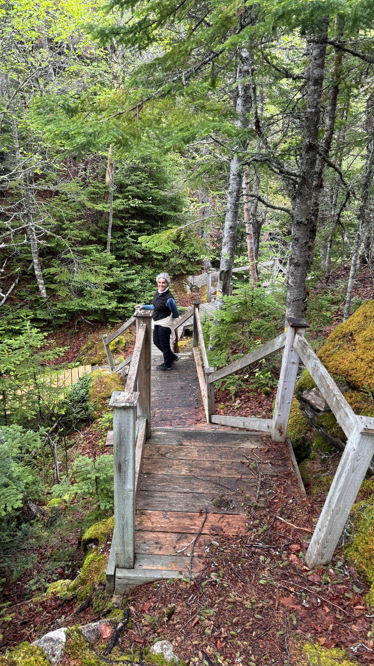 Trail staircases Trail staircases