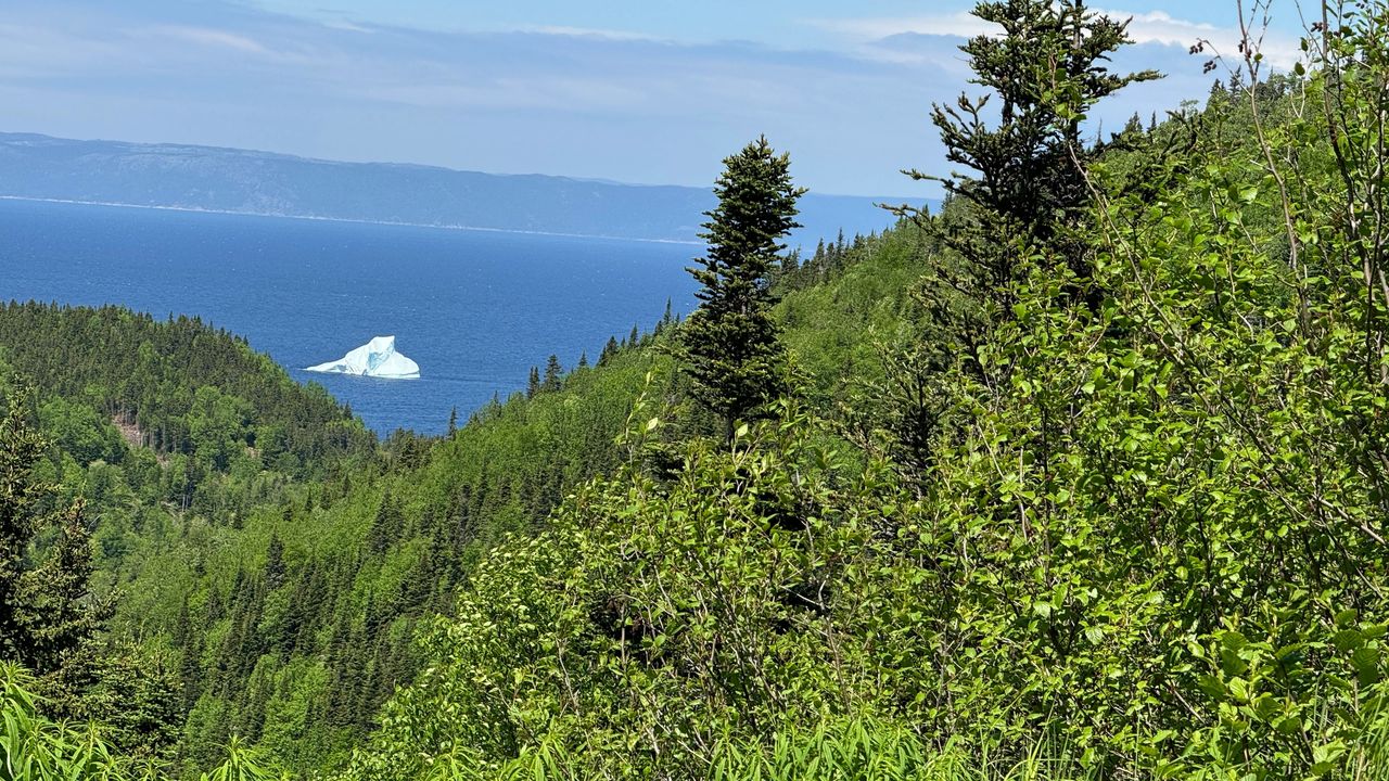 Iceberg in Wild Cove Iceberg in Wild Cove