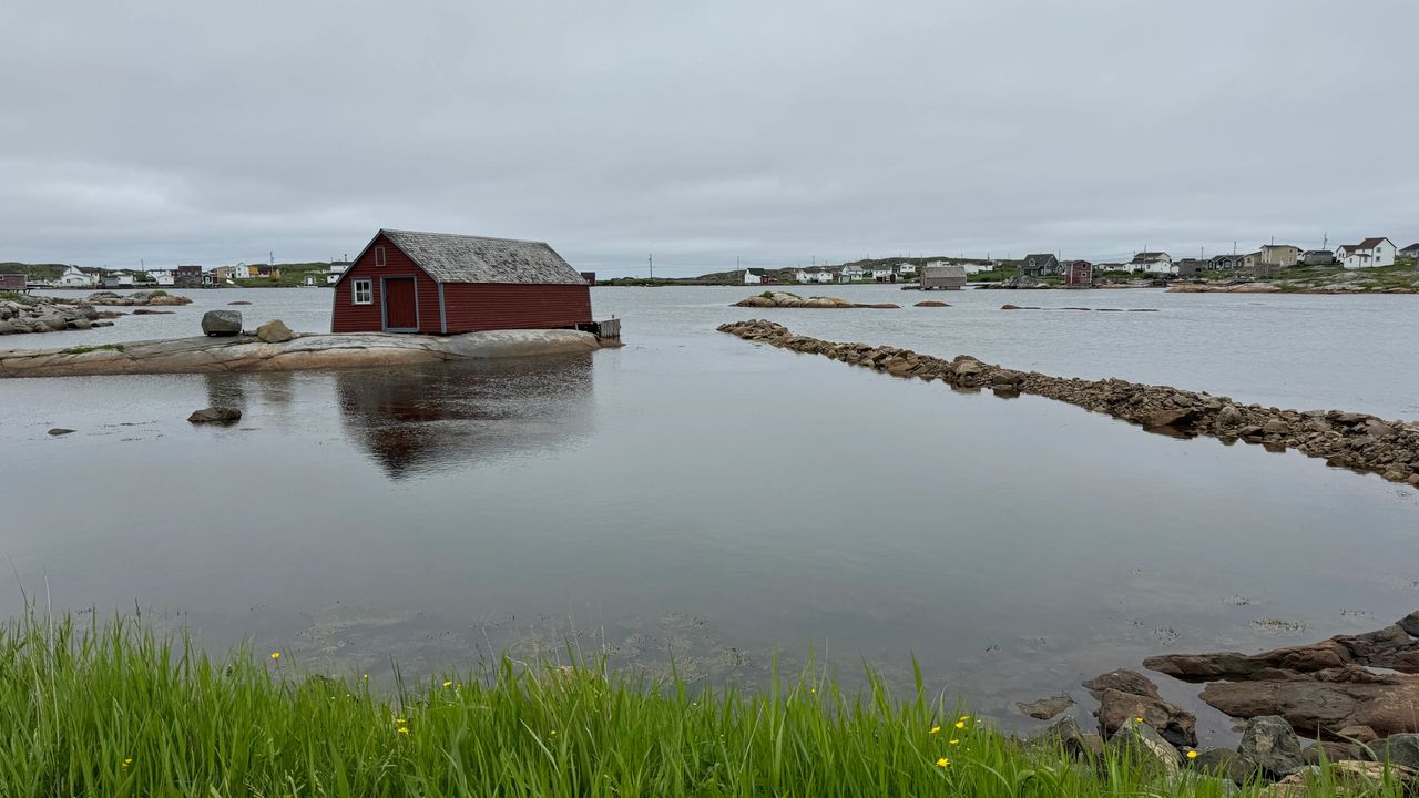 Tilting Cove