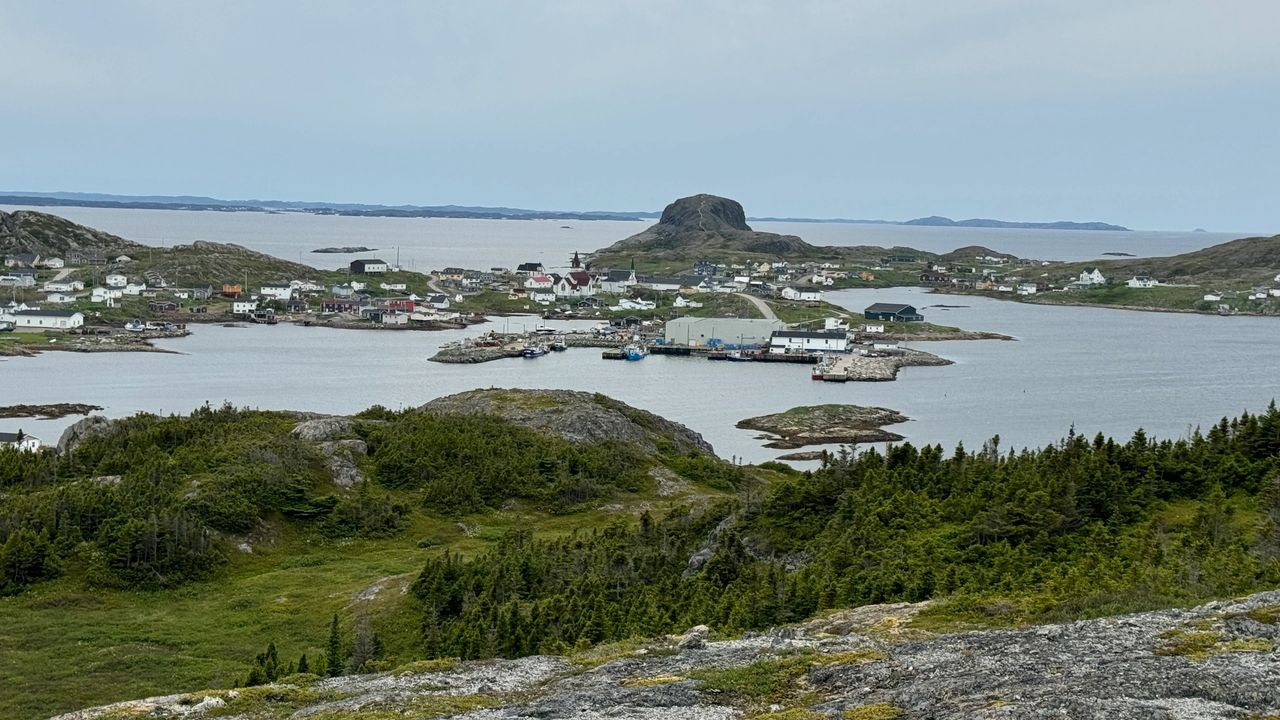 Fogo