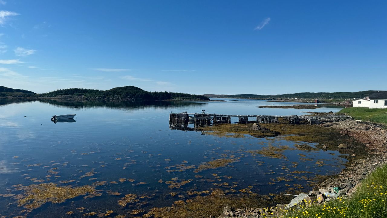 Island Harbour