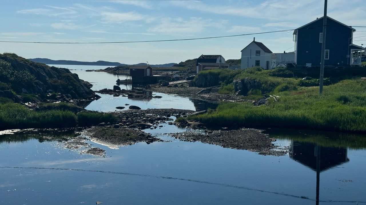 Island Harbour